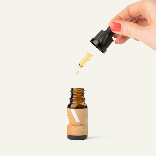 HUILE CBD BIO (6%) POUR CHIENS À L'HUILE DE SAUMON, SANS THC