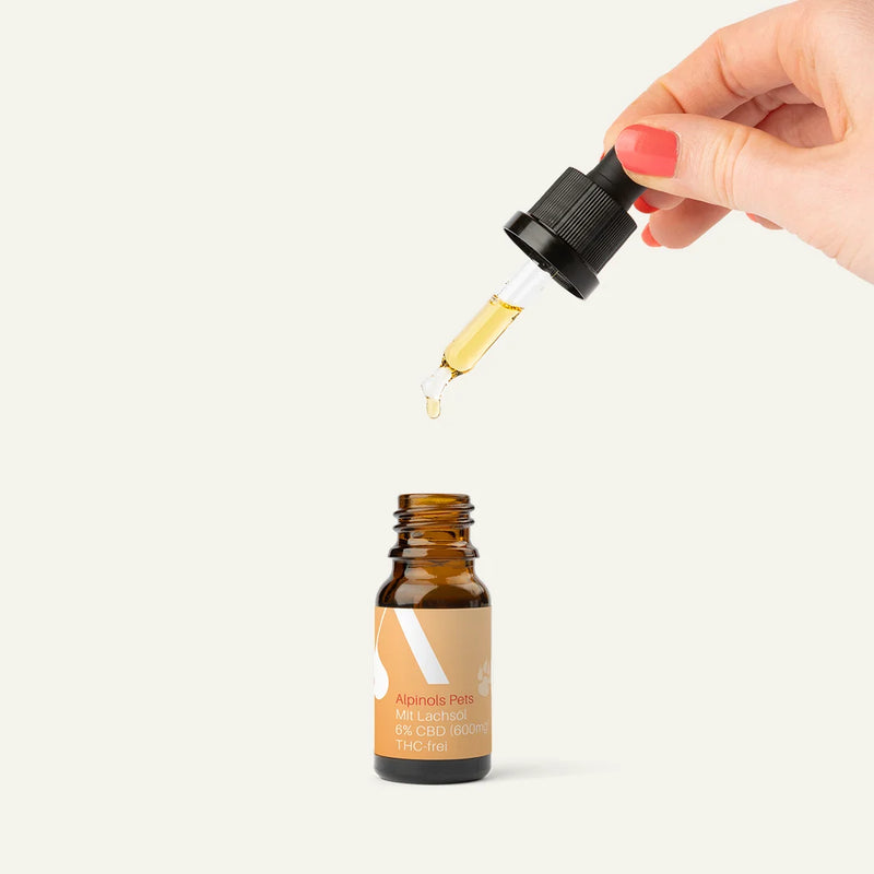 HUILE CBD BIO (6%) POUR CHIENS À L'HUILE DE SAUMON, SANS THC